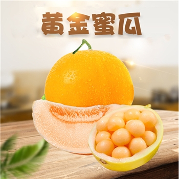 海南黄金蜜瓜（黄肉） 