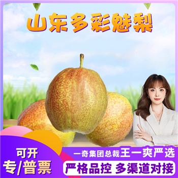 山东魅梨
