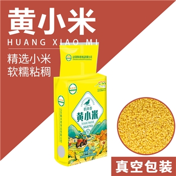 黄小米500g*2袋 散装山西新米农家香糯小米
