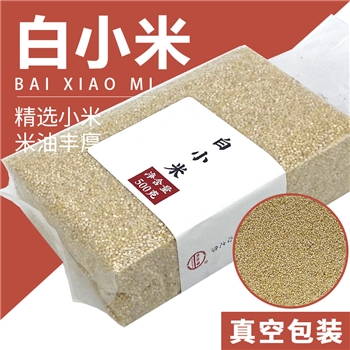 白小米500g*2袋 新货小米粥香糯粘稠早餐五谷杂粮粥散装