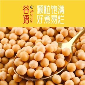 黄豆400g真空包装东北新米五谷杂粮粗粮豆制品豆浆原料