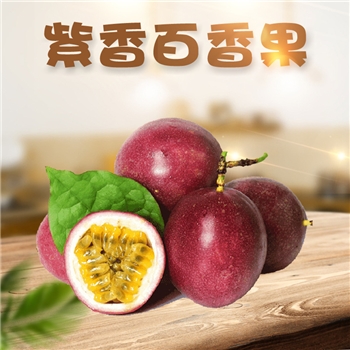 紫皮百香果 （云南果） 性价比款