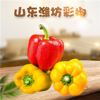 山东潍坊彩椒 3/5斤彩椒五彩水果甜辣椒黄色辣椒当季新鲜蔬菜