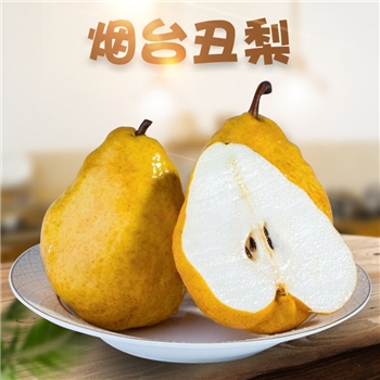 山东烟台丑梨 甜糯软梨中华丑梨子新鲜孕妇水果非太婆梨
