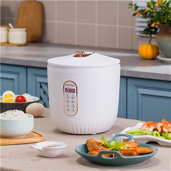 山水（SANSUI） 山水（sansui）智能电饭煲SF-141 电脑款 白色