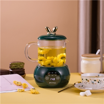 山水（SANSUI）电炖养生杯KT-920 （电脑款） 绿色