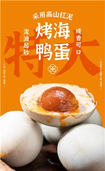 【福道生】烤海鸭蛋                约70-79g/枚x20枚    西藏/新疆/港澳台不发货