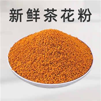【福春峡】新鲜茶花粉500g